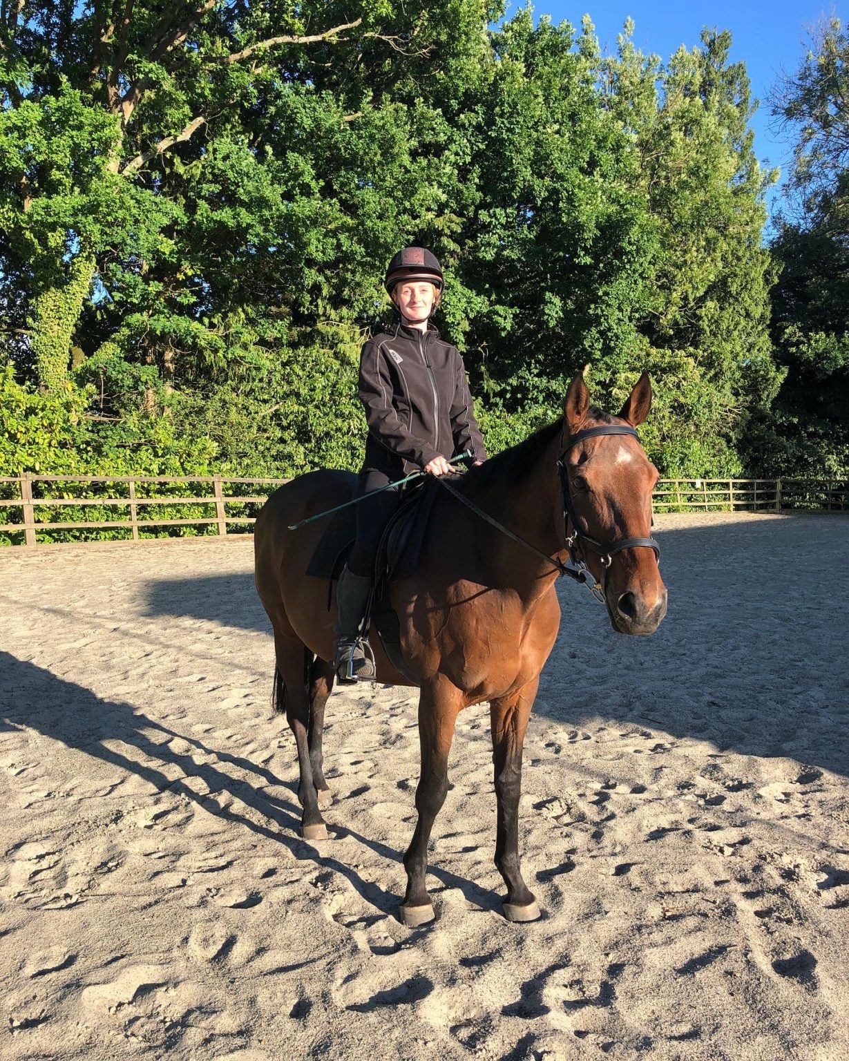 New Careers for Winchester FarmFoaled Horses Winchester Farm