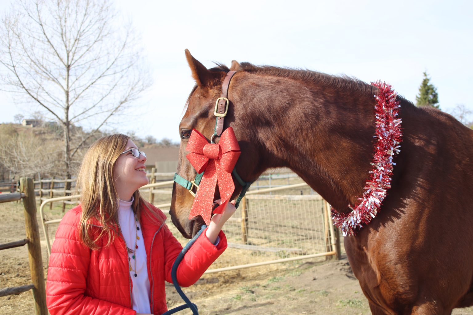 New Careers for Winchester FarmFoaled Horses Winchester Farm