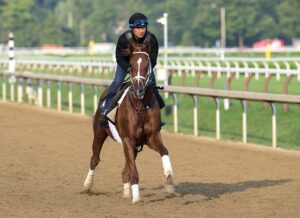 Trainer Pletcher gives update on Winchester Farm Graduate LOCKED