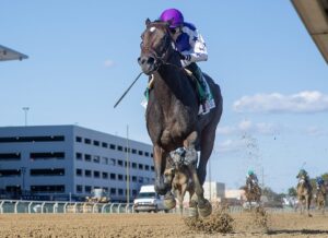 Winchester Farm homebred 2yo Filly wins G1 Frizette S., on her way to the Breeders’ Cup!