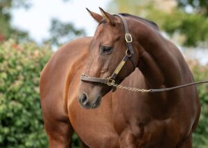 A Memorable Weekend at Saratoga for Winchester Farm