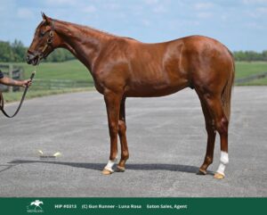 $3.1-Million Gun Runner Full-Brother to Locked at Keeneland September Yearling Sale